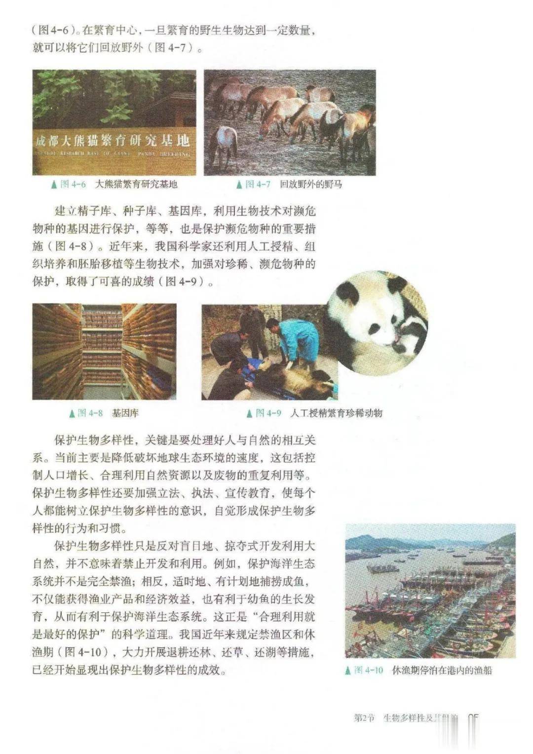 5ef9794094ff4d9aac3ef02789f62d65.jpeg