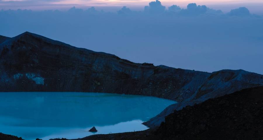 2021年家电年货节争夺仍激烈：海尔美的京东天猫再次抢跑-家电圈官网