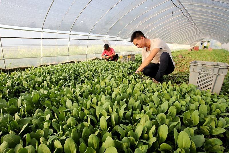 峡江县2020年gdp_峡江县地图(2)