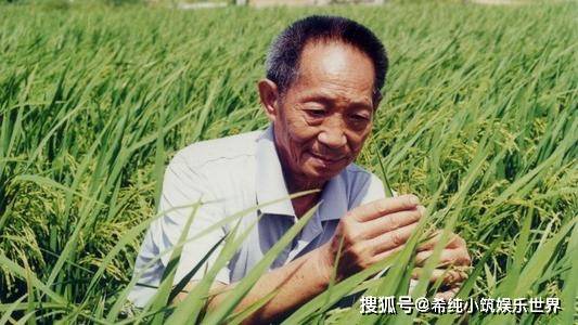 袁隆平抖音号已注销 抖音方回应称账号存在争议“先禁封处理”