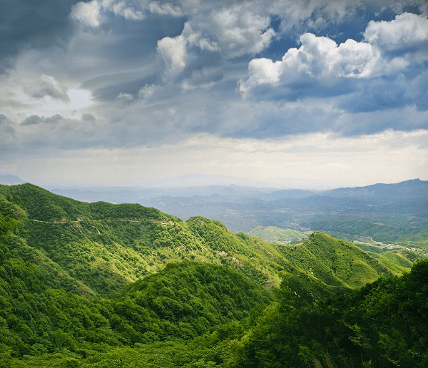 "陆良八老"荒山造林造出花木山