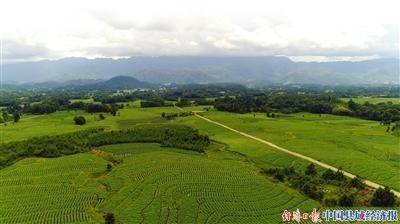 保山高黎贡山下的现代烟草农业样板