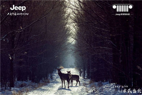 到底什么是情怀 e97fe28543604a91b36cd94aaf38d0f3.jpeg