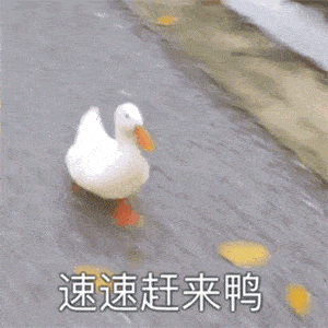 5b67670ab41e47f39cdf29cf23973576.gif