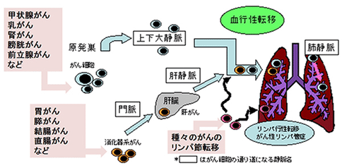 b6f2502ead954977a188594d7b29dbcb.png