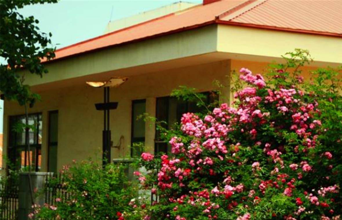 草什么门成语_草什么花什么成语(2)