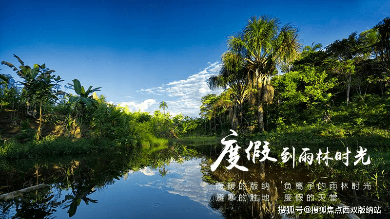 镜头下的西双版纳远达雨林时光