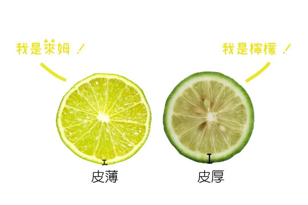 你知道柠檬和莱姆怎么区分吗