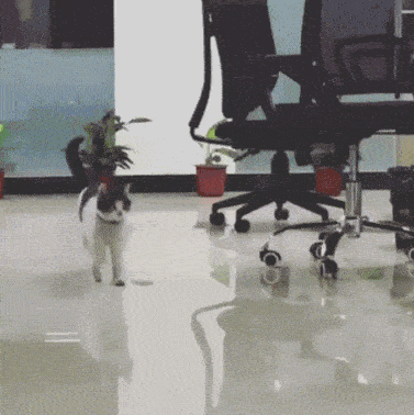 377_378gif 动态图 动图