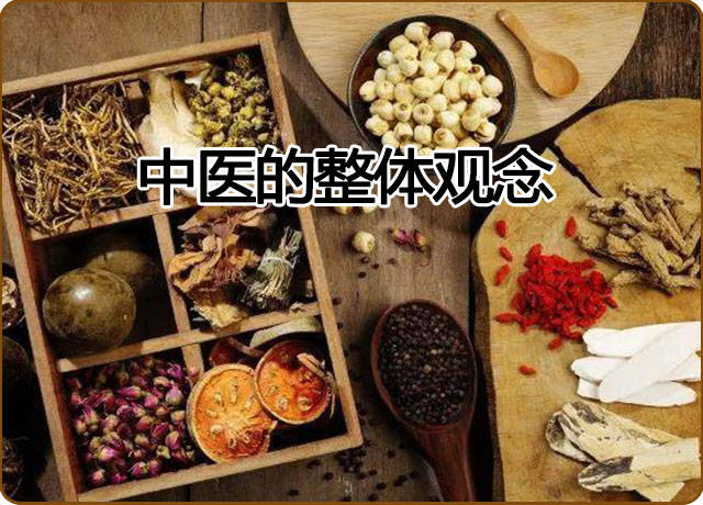 中医 医治病患 的整体观念原则