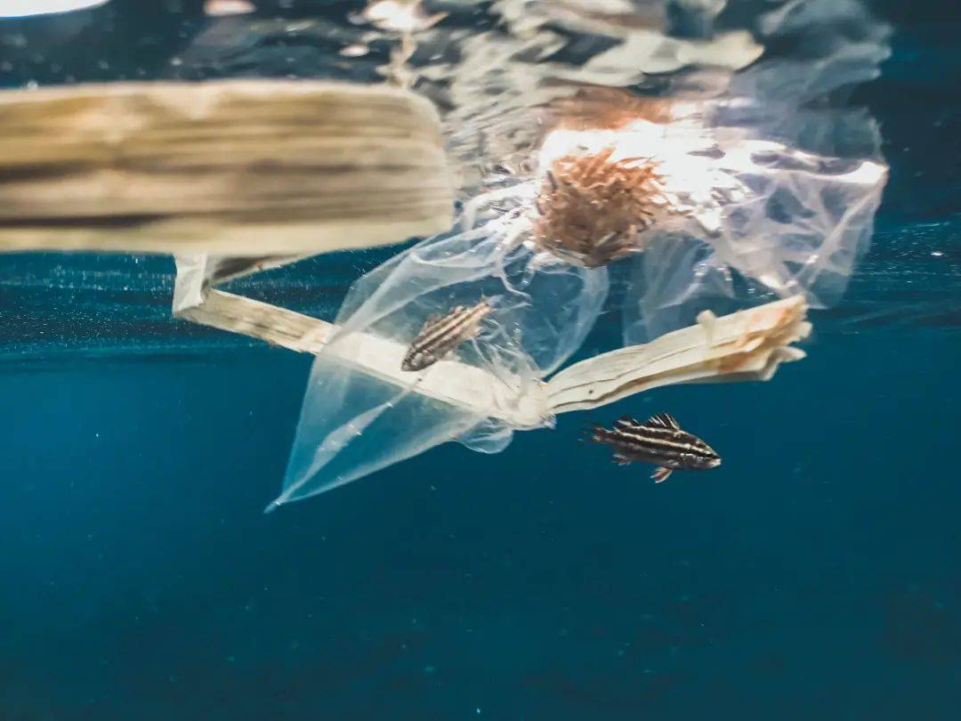 正在污染海洋的塑料垃圾到底有多少?