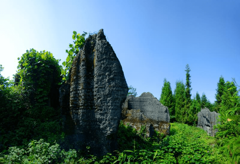 祝贺!四川兴文僰人巨石阵景区成功晋级国家4a级景区