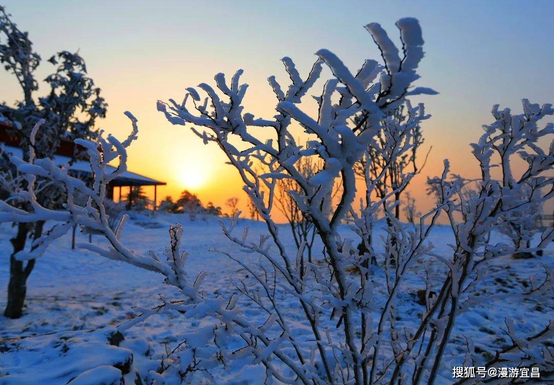 湖北百里荒,冬日草原雪景醉游人