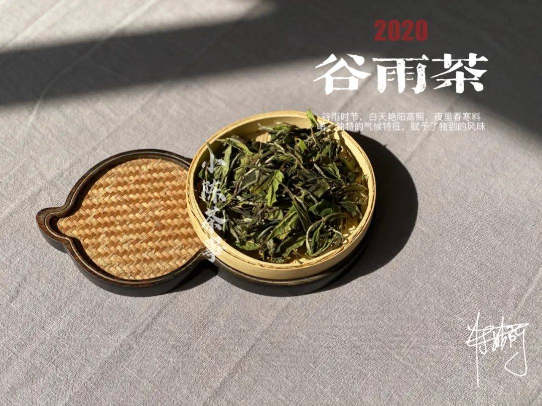 本是寿眉的身却生出了白牡丹的风姿谷雨茶在暮春时节翩翩而来