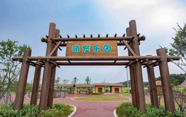 就地过年玩什么|咸宁人的冬天一定要去一次萝卜公社