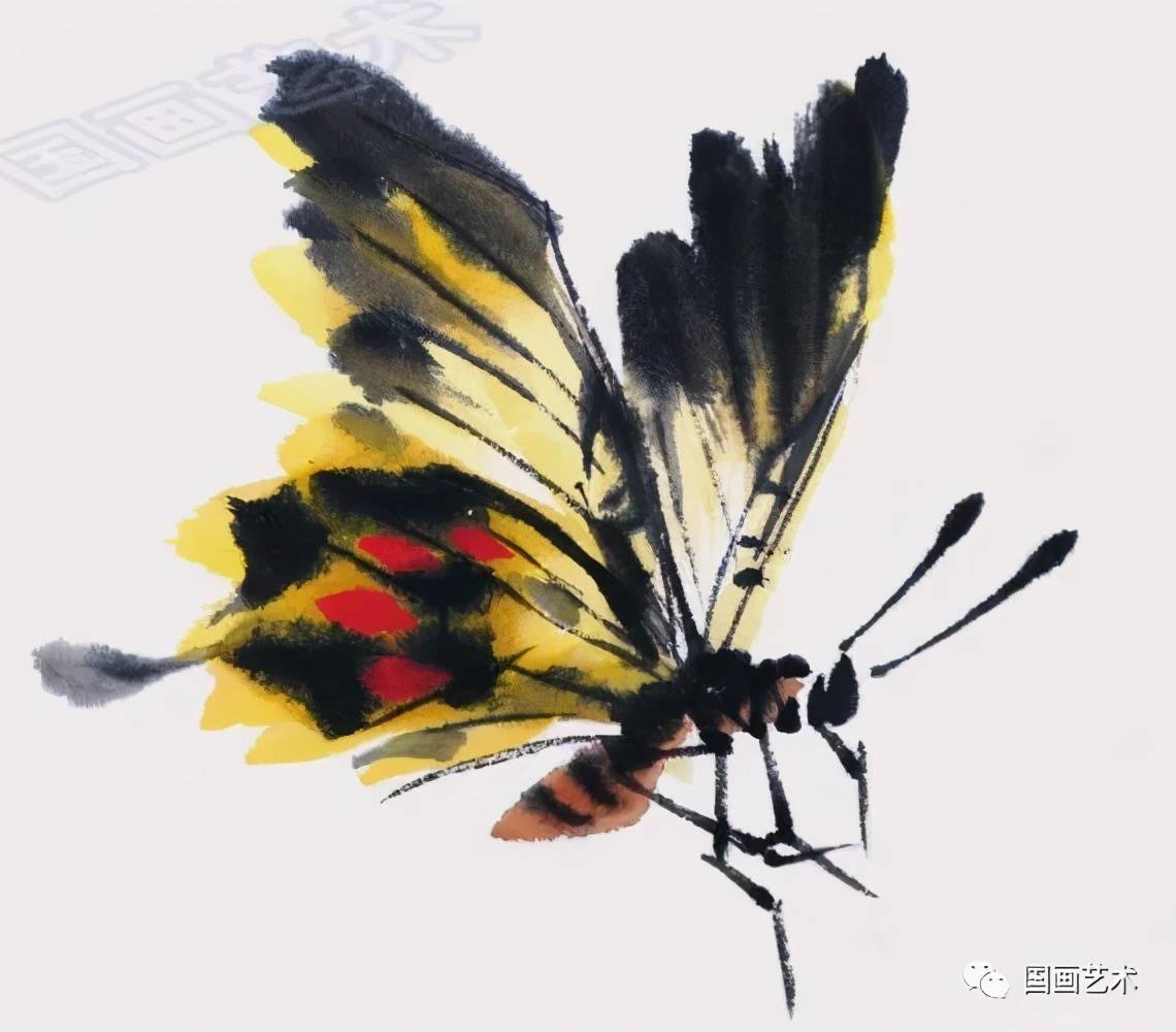 图文教程:写意蝴蝶,蜻蜓画法范例