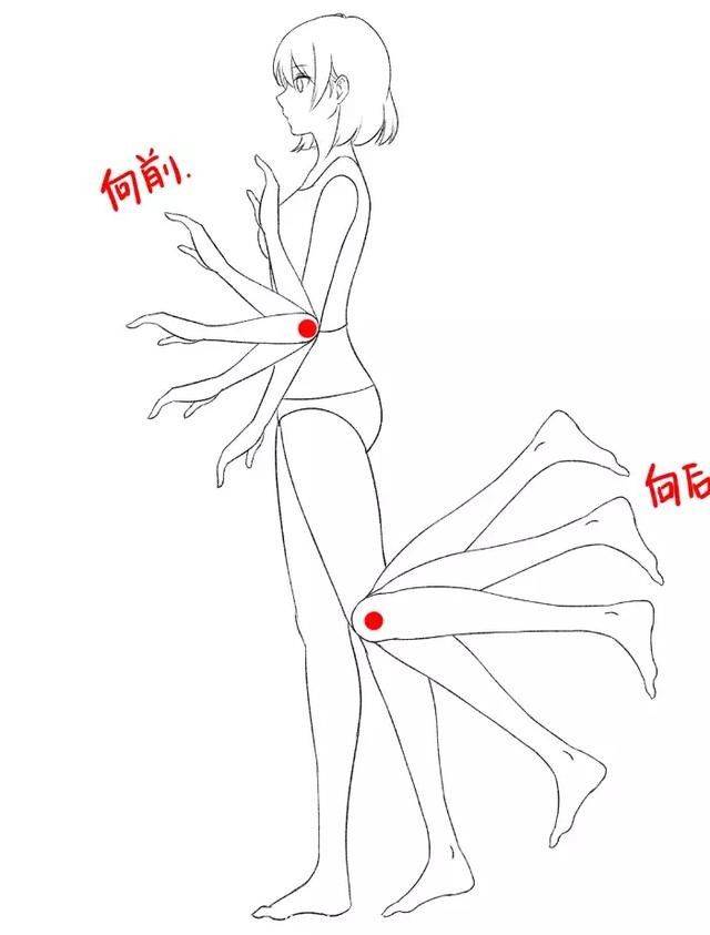 动漫人物的四肢关节怎么画