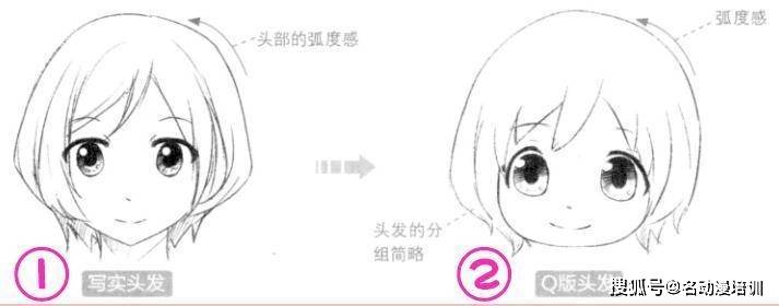 如下图: ①q版与普通头身的头发绘制都是根据人物头部的圆形弧度来