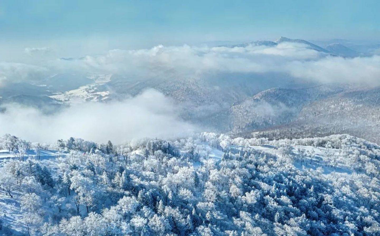 来北大湖·浪漫雪郡,滑雪度假,享受欧洲的阳光,北美的山,日本的雪!_实