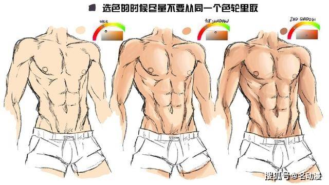 教你动漫男性肌肉的画法!