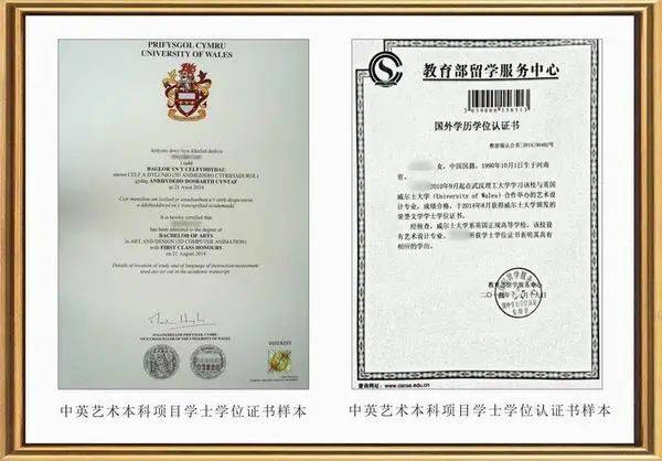 获教育部批准中外合作办学艺术类自主招生项目, 国际化本科学位教育
