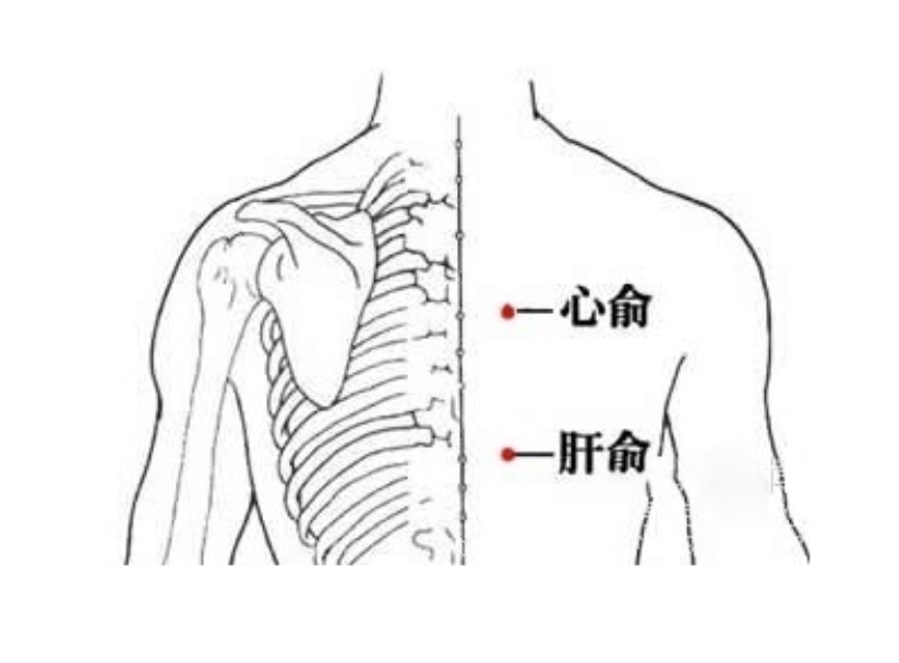 艾灸教你养肝护肝