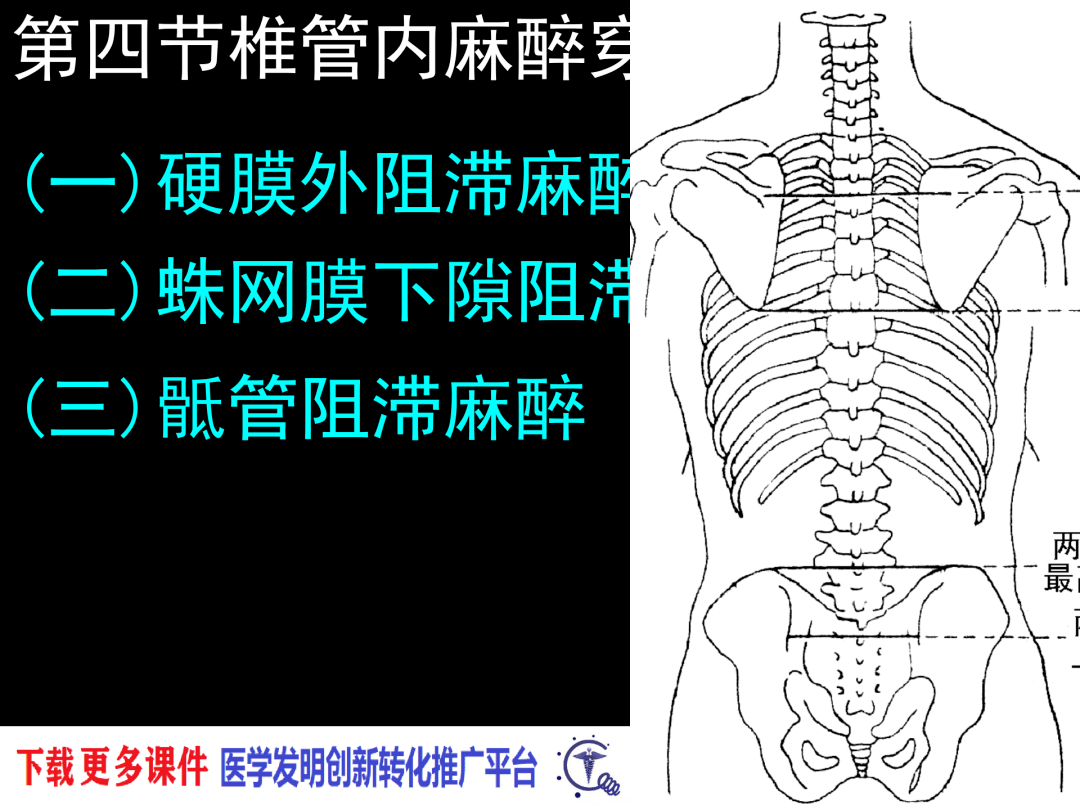 椎管解剖——腰麻,骶管麻醉基础