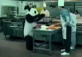 288_200gif 动态图 动图