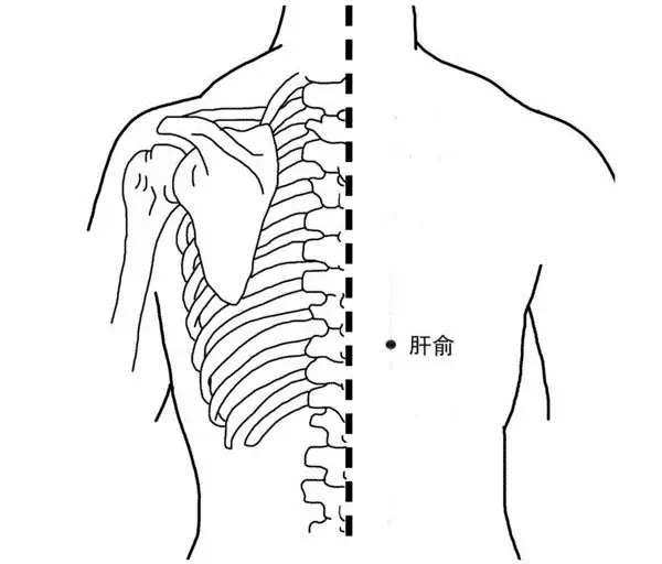 肝俞穴定位:位于背部脊椎旁边,第九胸椎棘突下,左右二指宽处.