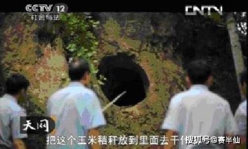 新婚夫妻突然消失,只因女主人太漂亮遭人"惦记"_付刚