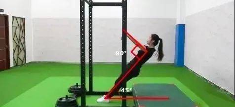成都中考体育系列教学引体向上斜身引体