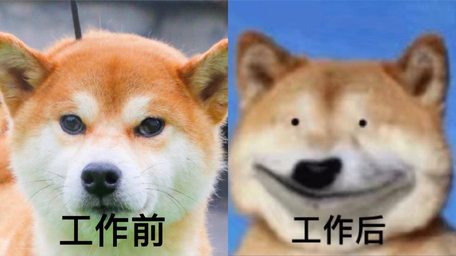 昨日,有一位博友发微博解说了累丑一词,就是短时间