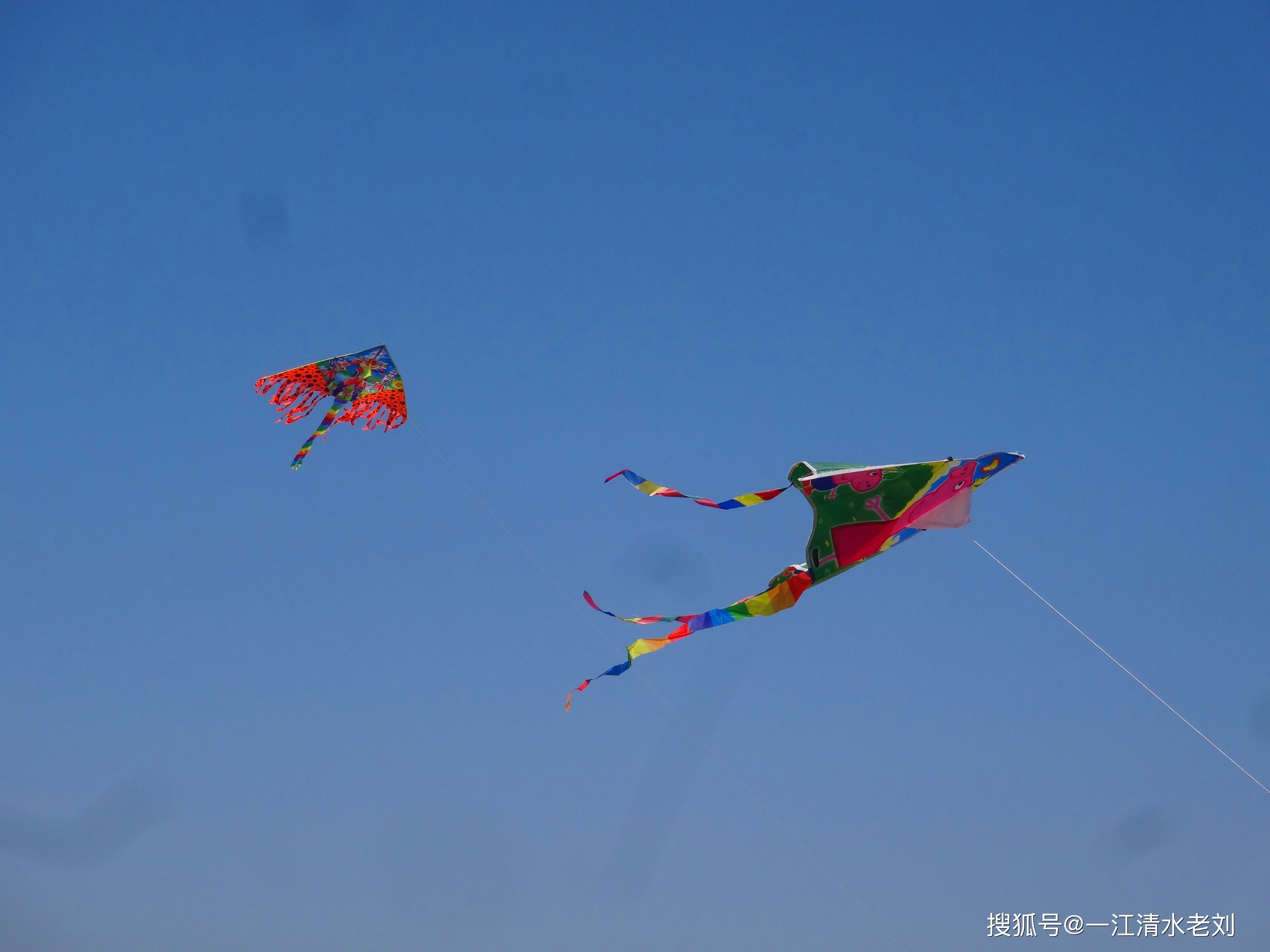 大年初三喜洋洋,丹江口沙石公园里放风筝忙(一)