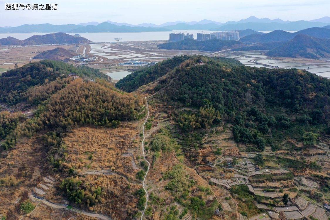 松岙梅园北望风车公路南望海浪漫步道梅花相伴