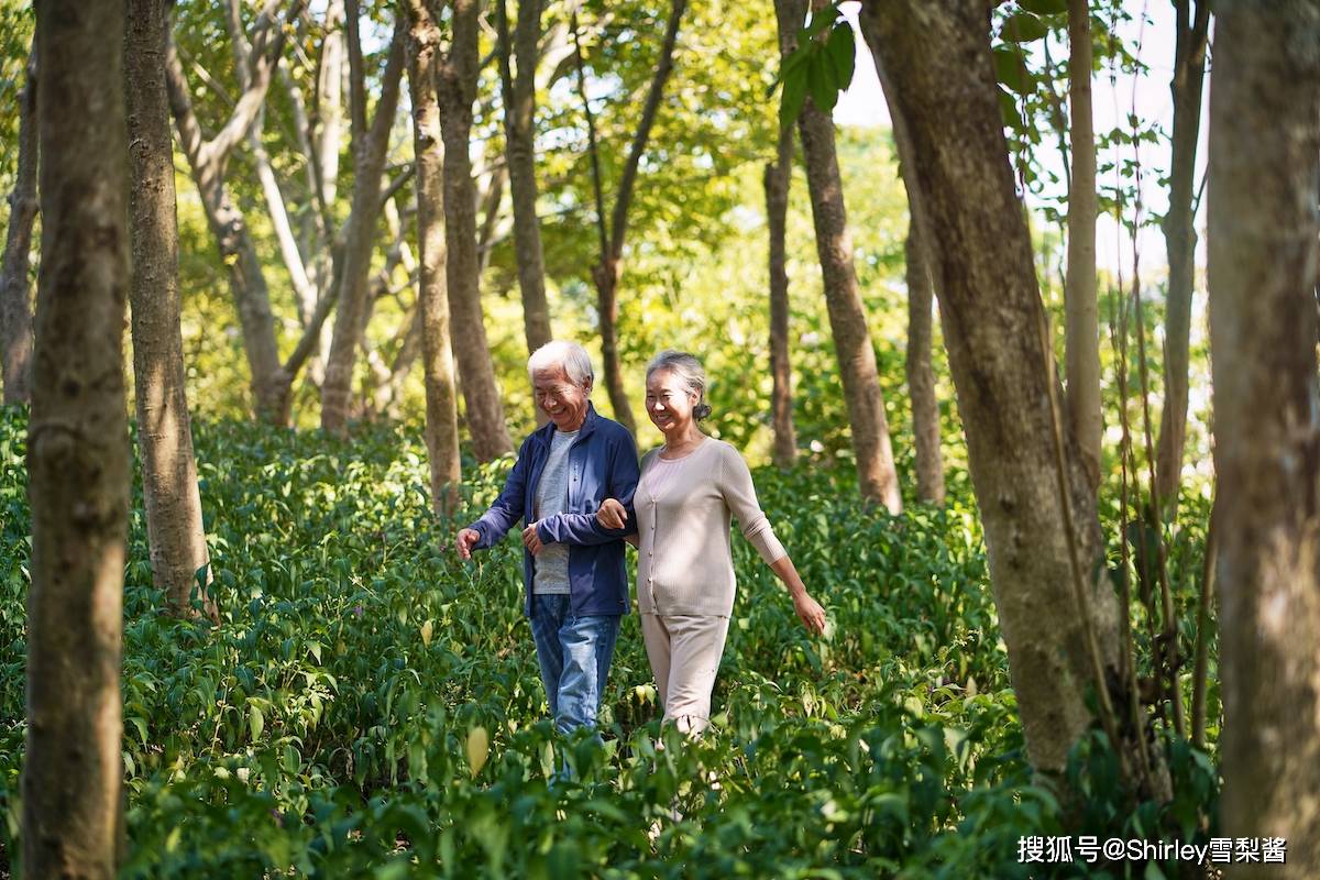 推荐以下这三个地方,一直以来被视作适合老年人游玩的地方,就算在当地