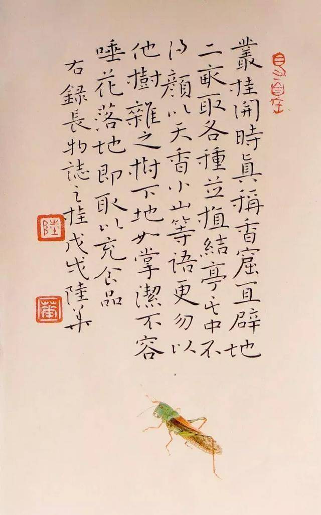 原创她的小楷"古"而"活,自然平和,有钟繇神韵,多次入选国展