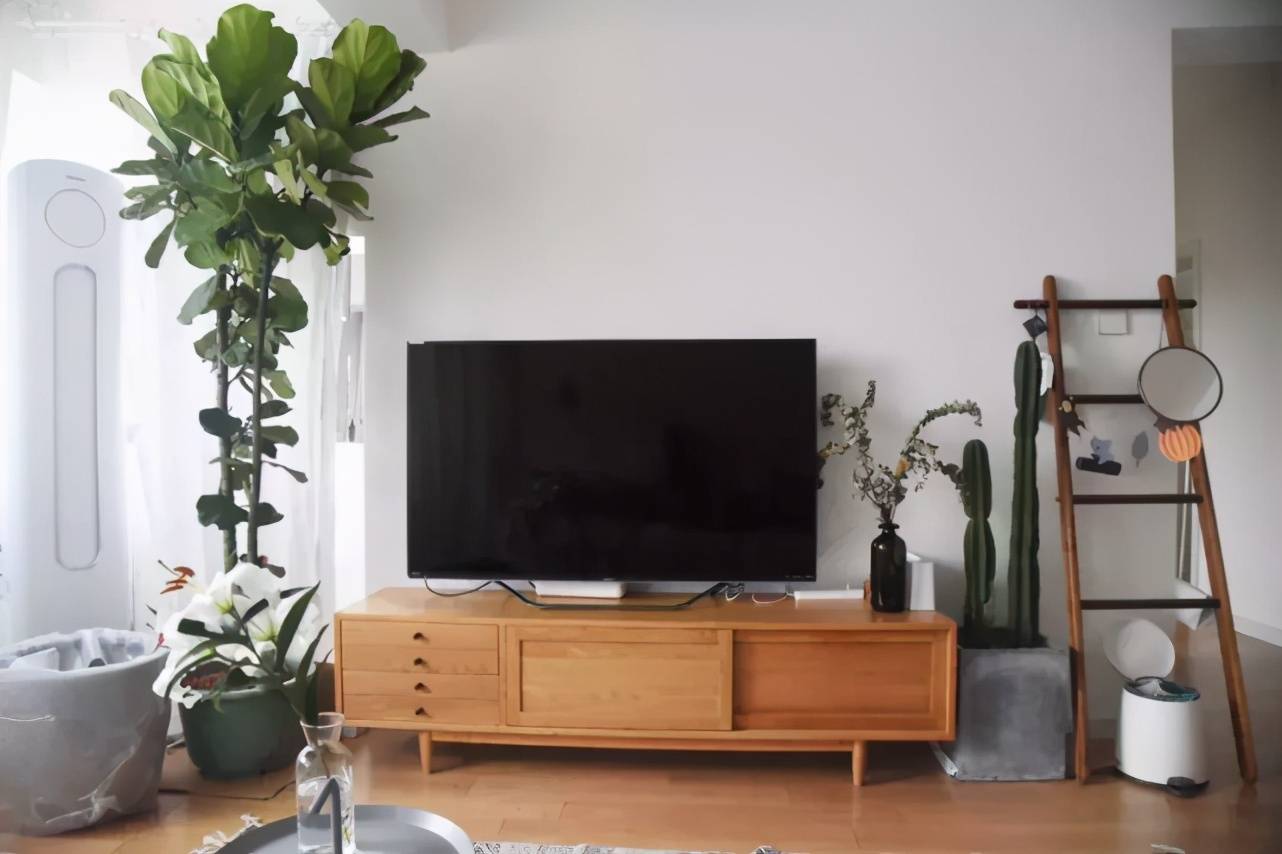 高矮组合的电视柜,结合墙面的搁板,绿植等布置,装饰出一个实用清新