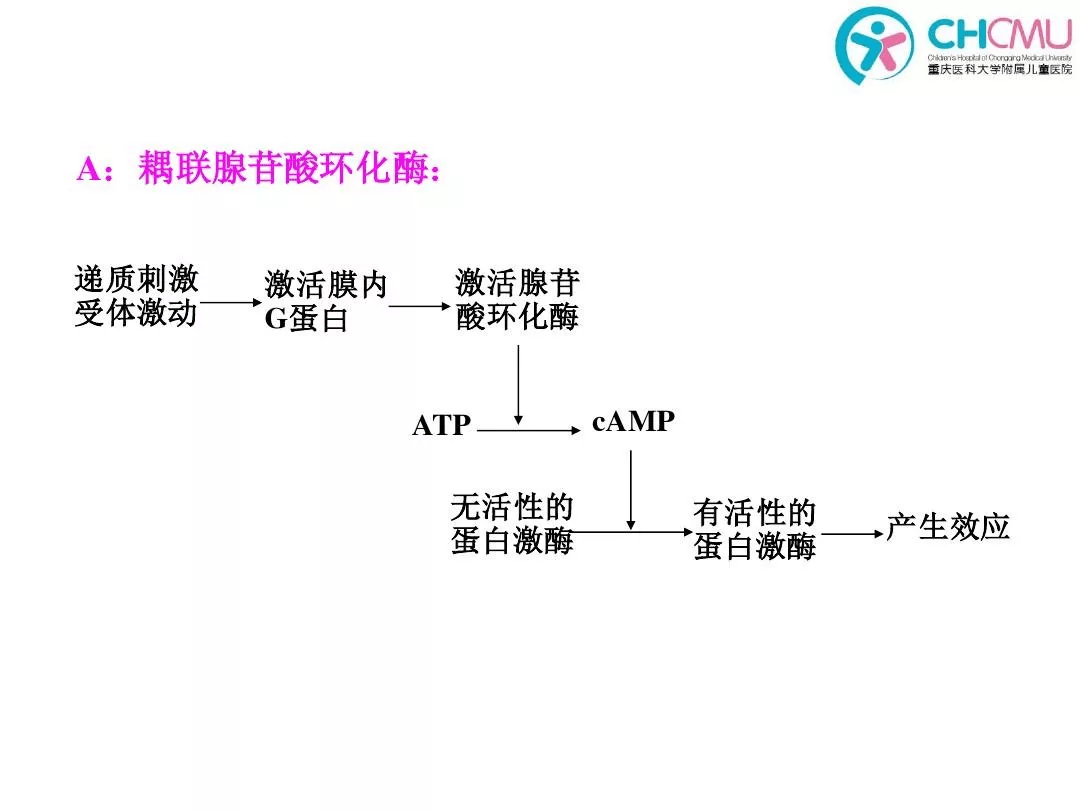 实验证明在自主神经系统内,还存在不以乙酰胆碱或去甲肾上腺素为其