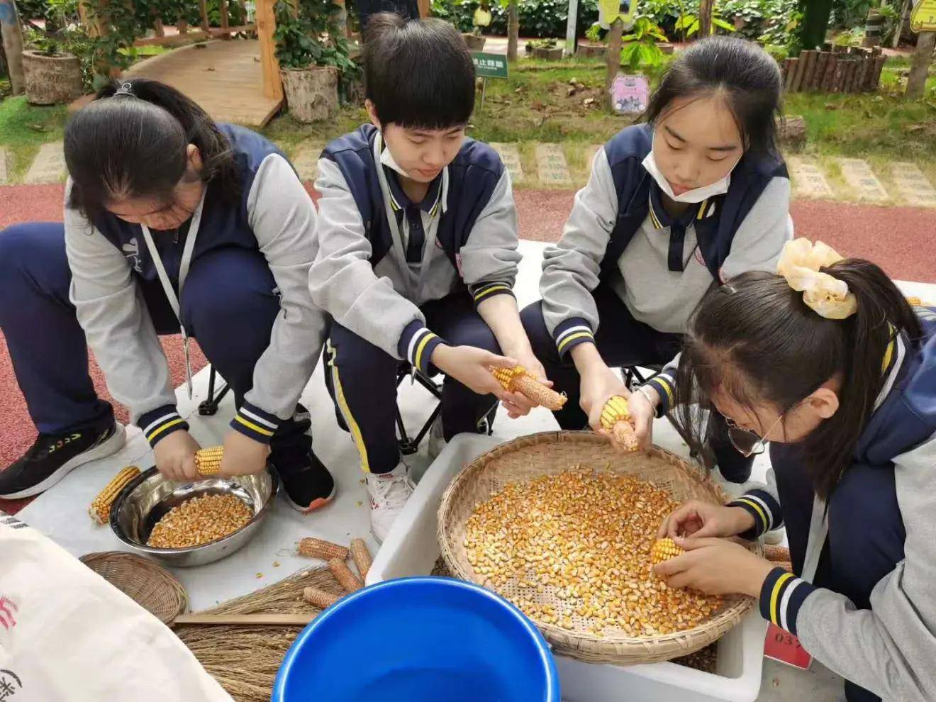 北京自然教育 研学基地 劳动教育基地 研学活动 中小学生劳动实践基地