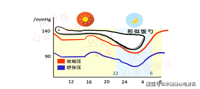 降压药到底该何时服用?_血压