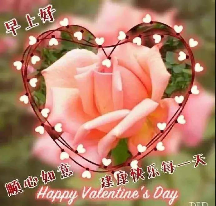 2月25日正月十四清晨早上好问候祝福动态表情图片