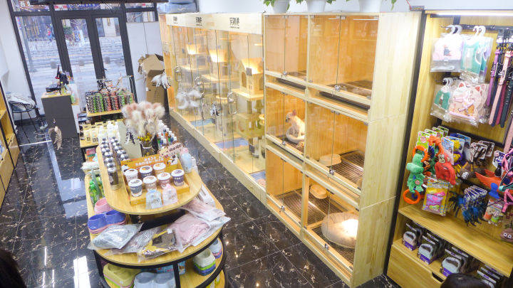 遇到好的宠物店多难得