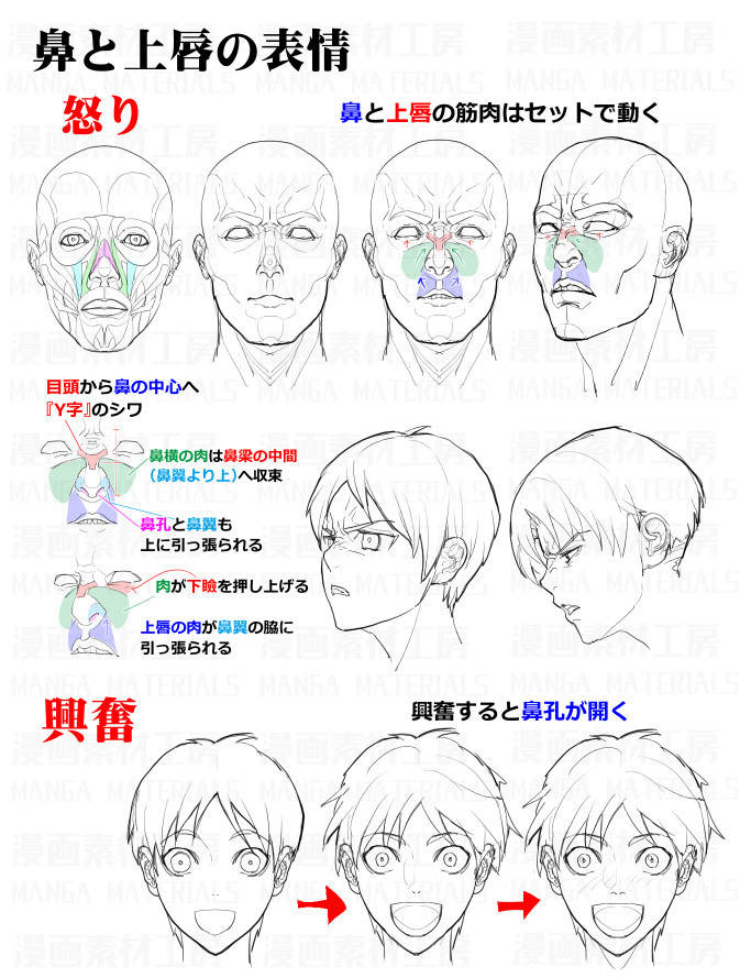 动漫脸部肌肉怎么画?这组绘画素材示范很全面!_人物