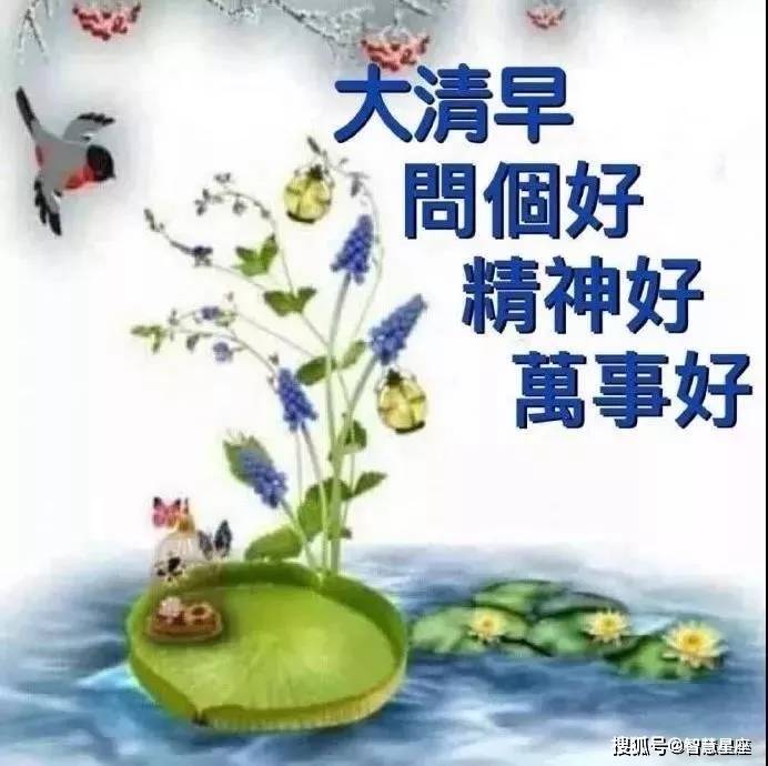 2月12日正月十九早上好问候祝福动态表情图片