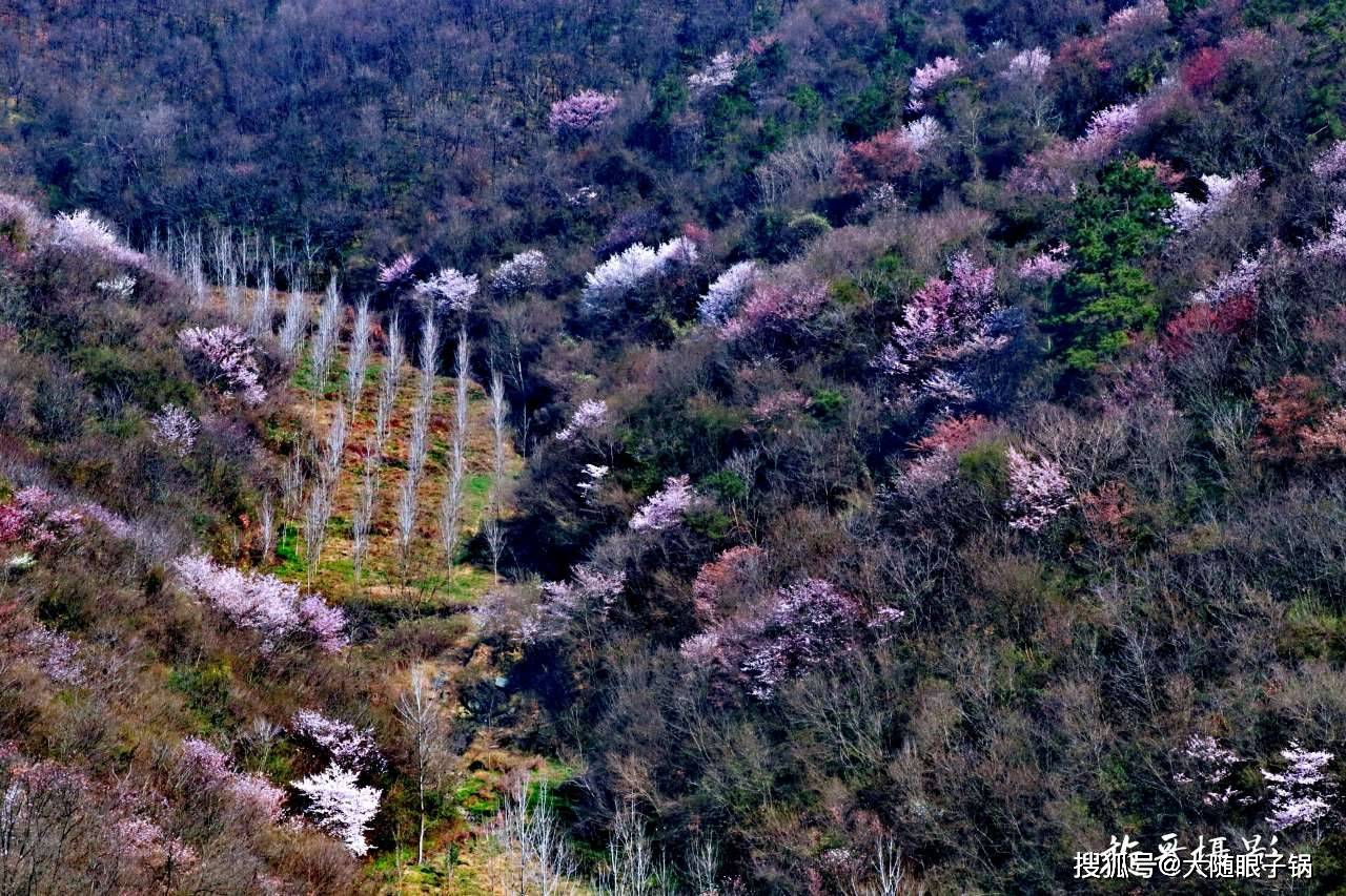 随州市随县柳林镇十九山樱桃沟早春风光无限好