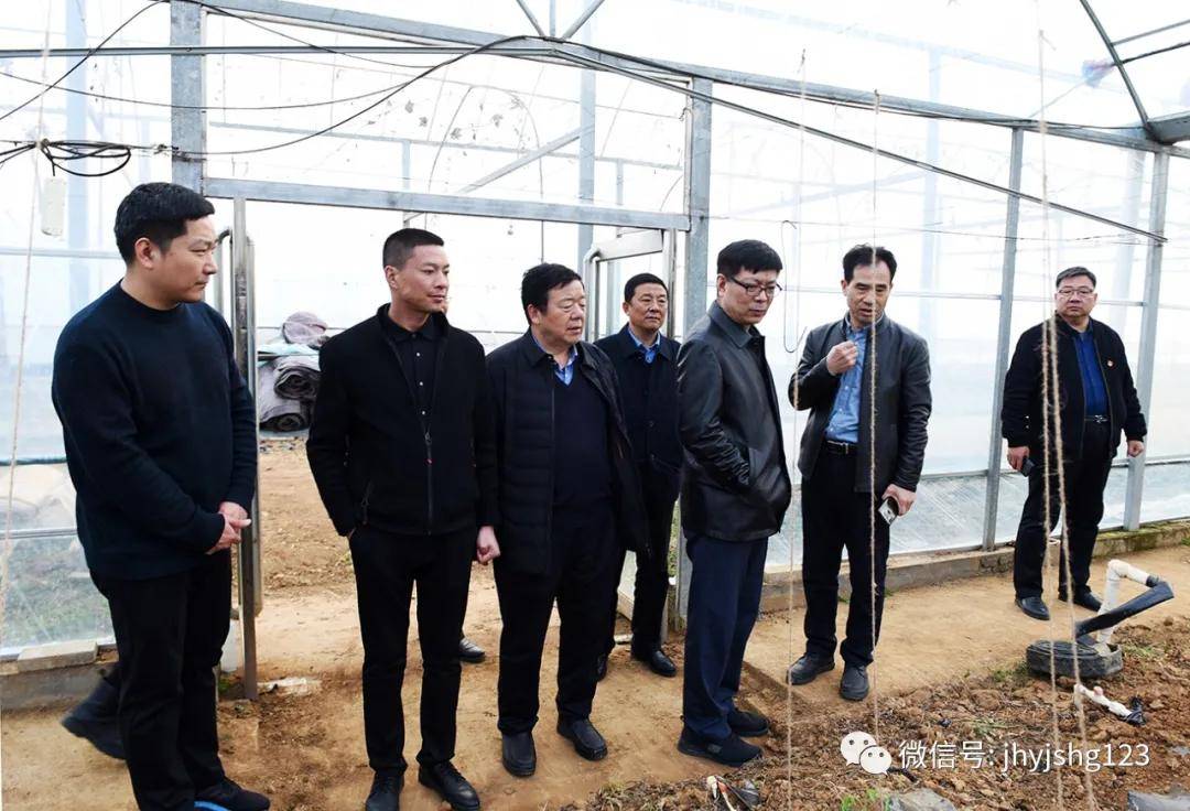 南阳市委常委副市长刘建华莅临方城金航林果种植专业合作社调研