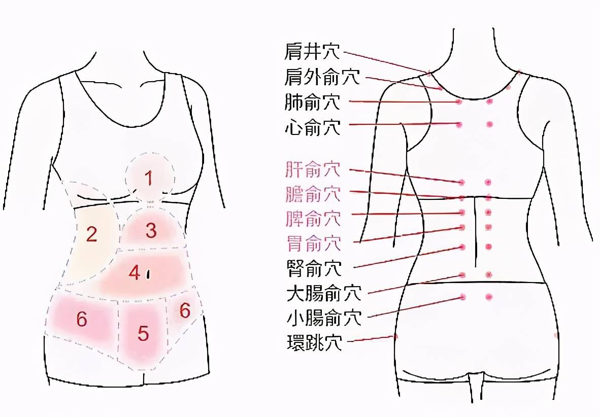 脾经各病症选择1~3种精油,各2~3滴,以5ml基底油稀释,涂抹于肚脐周围