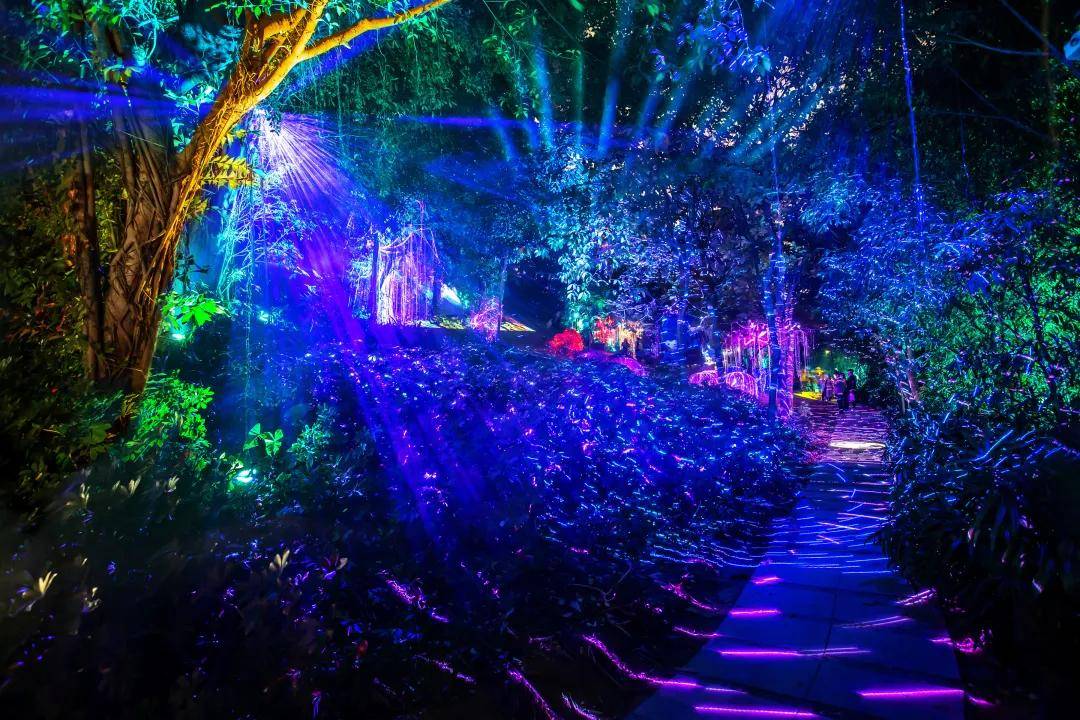 原创深圳欢乐谷推出全新夜间项目5d奇幻光影森林