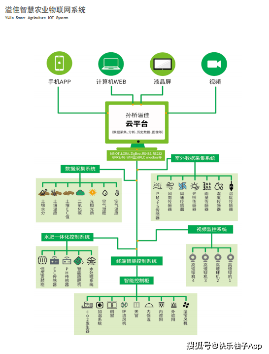 快乐柚子乡村振兴企业联盟之孙桥溢佳