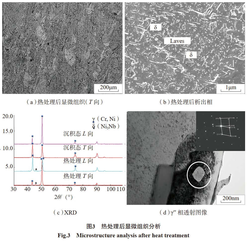 沉积态的微观组织主要为细长树枝晶,晶间存在微观偏析,偏析相为高脆性